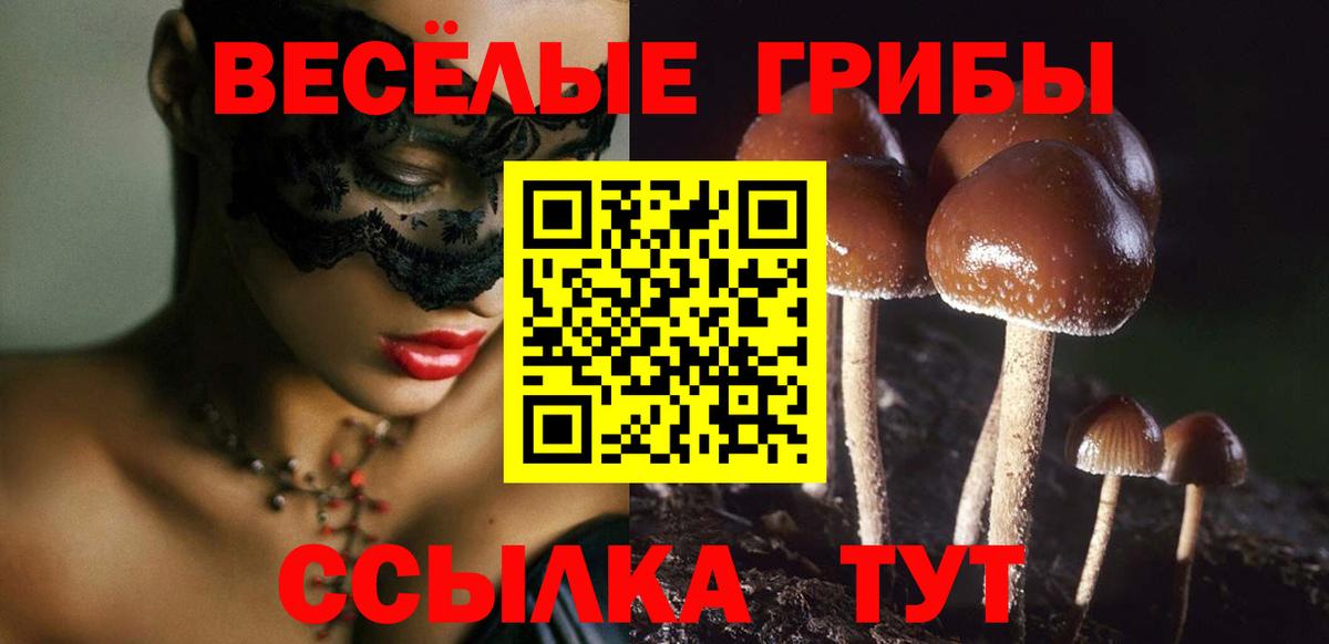 Галлюциногенные грибы MAGIC MUSHROOMS  Вход с VPN  Карачаевск  Галлюциногенные грибы ЛСД 